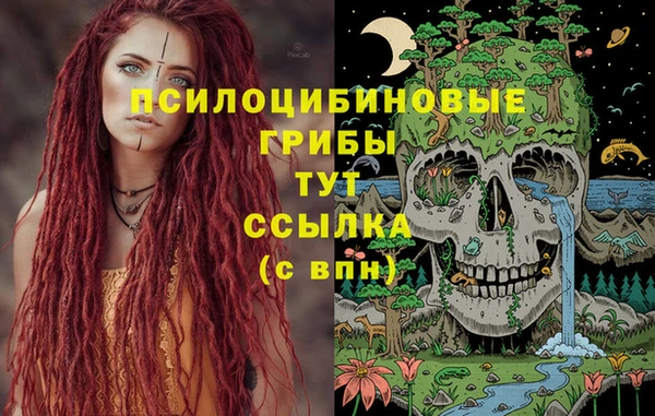 синтетический гашиш Алексин