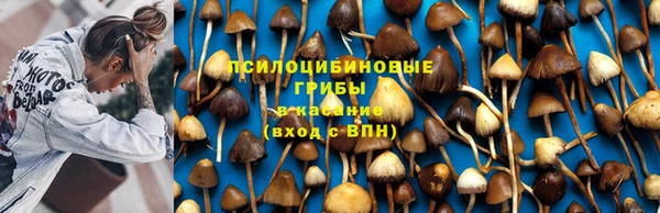 синтетический гашиш Алексин